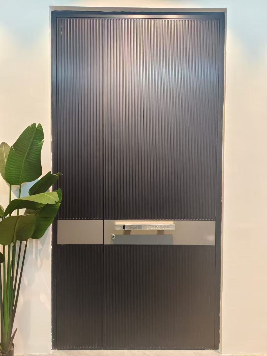 Minimalist entrance door