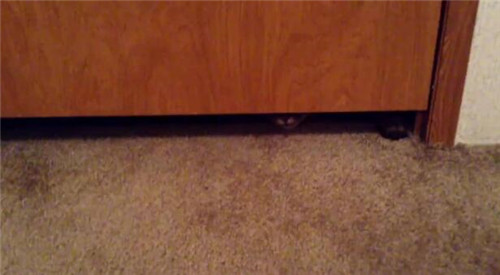 The bottom of the door gap